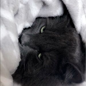 Meet your Posher, Riley